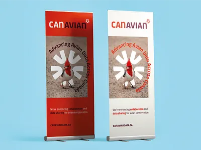 Brand Concept avian banners birds blue branding canadian cardinal circle data design graphic design logo network node open red typography