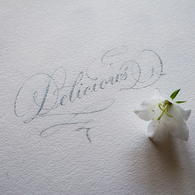 Delicious calligraphy hand drawn hand lettering lettering typo typography