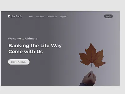 Lite bank web app design.(fictional bank) branding design illustration logo minimal ui ux web web design website