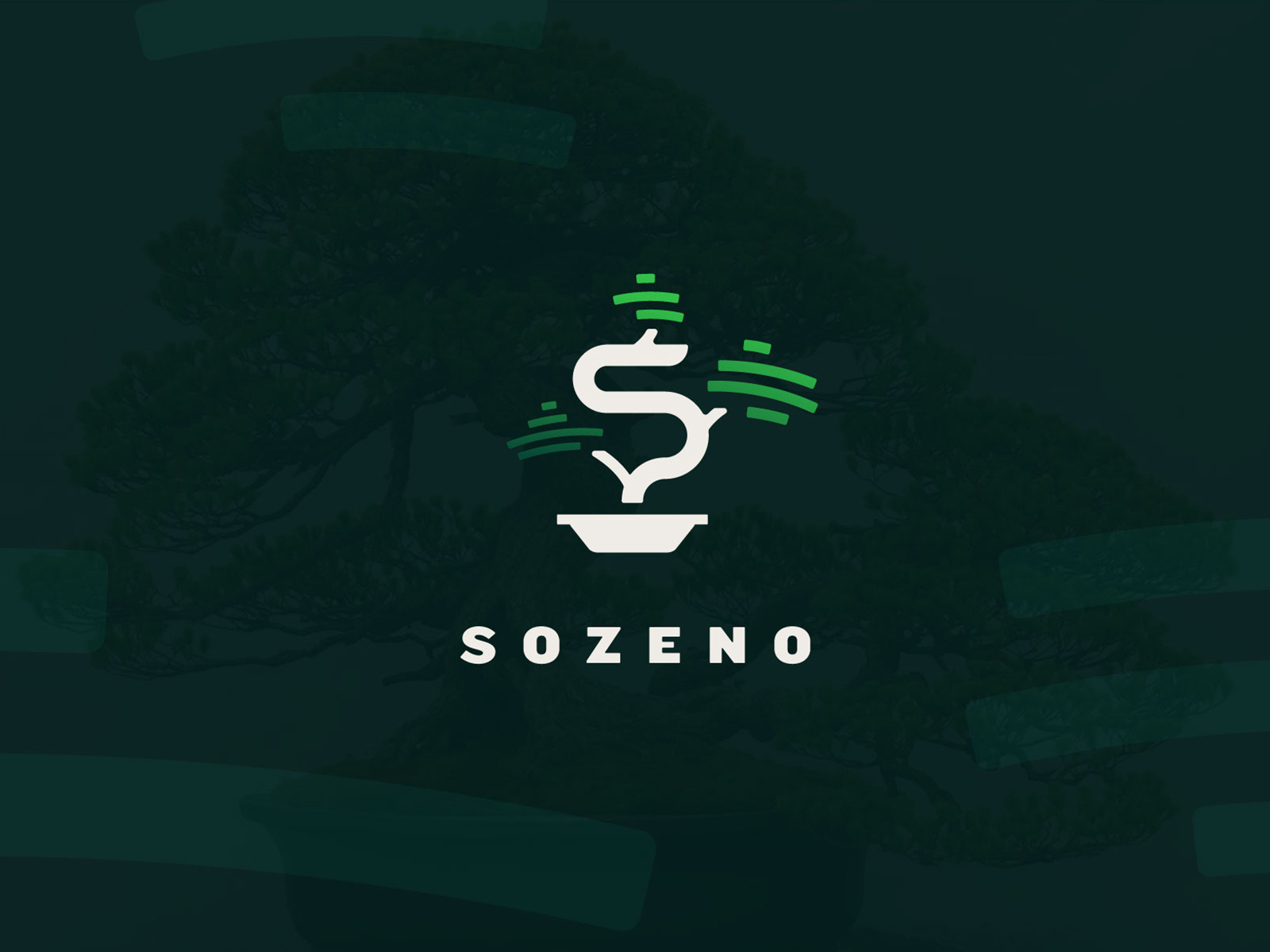 Sozeno - Software Development by Peter Giuffria PGCREATES on Dribbble Sozeno - Software Development