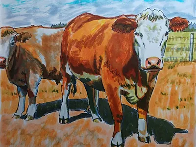 Cow Life cows hand drawn illustration ink pens sketch