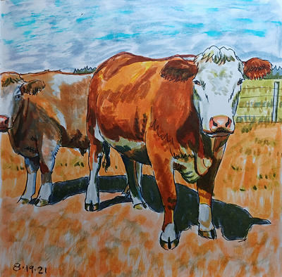 Cow Life cows hand drawn illustration ink pens sketch