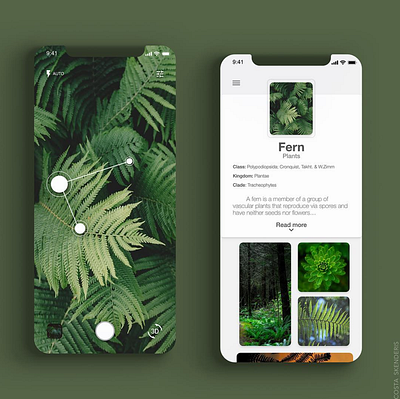 plant identifier adobe xd ai app design graphic design photoshop ux