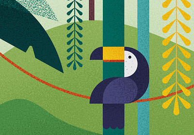 🦜 amazon animal bird botanical forest graphic illustration illustrator jungle karolienpauly toucan vector