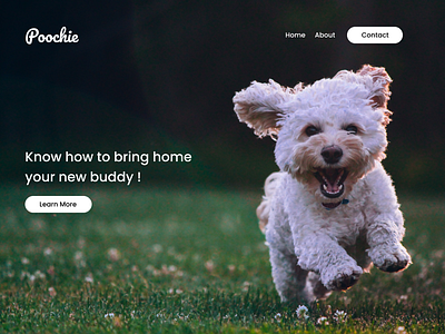 Dog Landing Page animation bike branding buddy cat design dog friend garden gym hire lion national park new pet puppie running typography ui ux