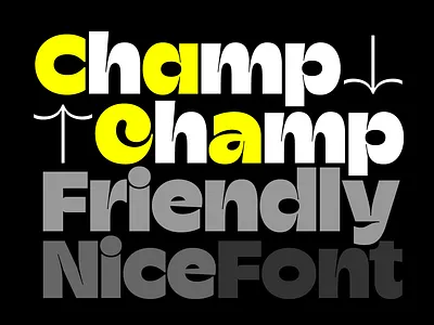 Champ Typeface champ font typeface typeverything