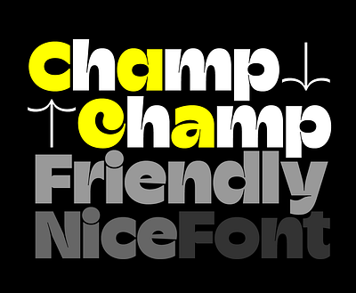 Champ Typeface champ font typeface typeverything