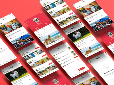 Pet Social Media App events like login login page app login screen mobile app pet pet app pet social media share signup screen social feed social media ui user profile
