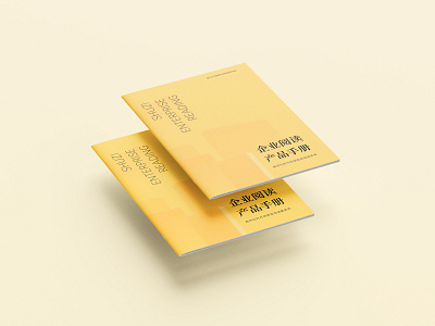 Product manual brochure graphic design product manual