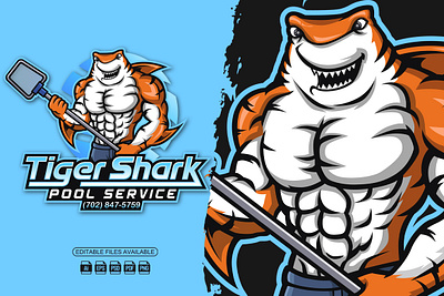 Tiger Shark Pool Service Mascot Logo brand logo branding cartoon cartoon logo design illustration logo mascot mascot logo pool service shark shark cartoon shark logo shark mascot vector