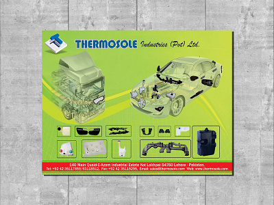 Thermosole branding brochure design flyer illustration logo magazine ad newspaper ad