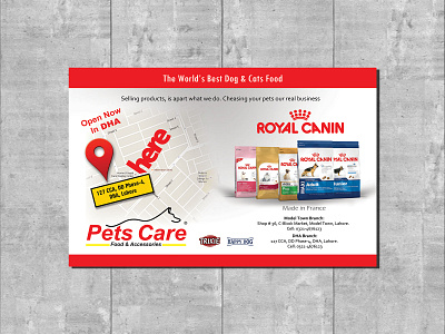 Pets Care branding brochure design flyer illustration logo magazine ad newspaper ad