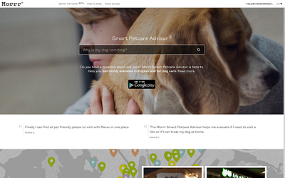 Morrr AI Pet Consult ai branding conversational ui startup ui