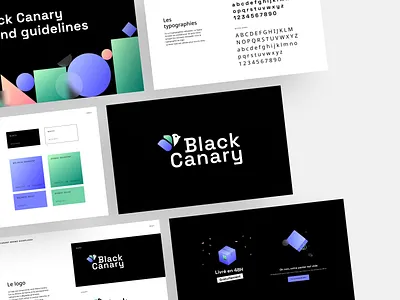 💙💚 Black Canary branding bird black brand branding canary e commerce gradient identity minimal modern shop