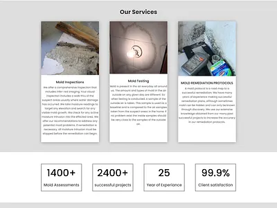 Website footer design branding design divi elementor elementor pro ui ui ux web design website footer wordpress wordpress website design