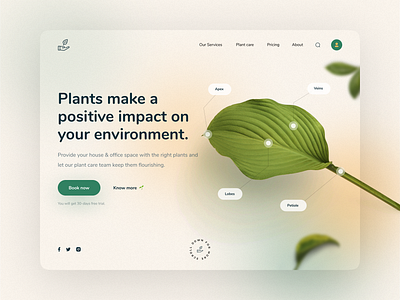 Plant Care Landing Page Design clean green minimal nature plant plant website ui ui design uiux website website design