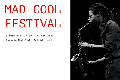 Music Festival Branding branding clean design minimalist poster typography