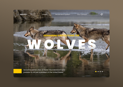 Animal Protections - Web Design design illustration logo ui ui ux uidesign uiux ux ux design uxdesign