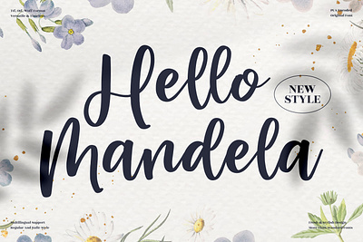 Hello Mandela - Beautiful Script Font 3d animation app branding design graphic design icon illustration logo motion graphics typography ui ux vector