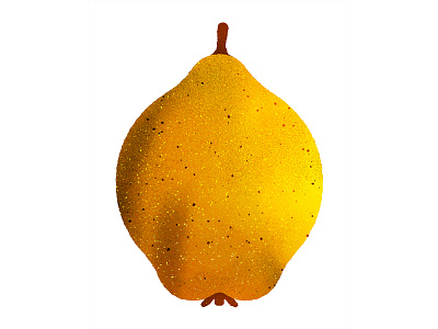 Quince fruit illustration quince