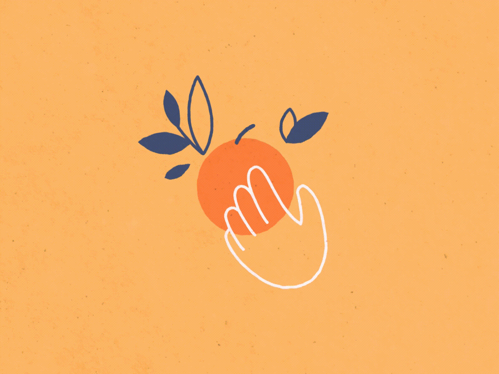 Morphing after effects animation icon icon animation illustration inspiration mograph morphing motion motion design motion graphics motiondesign motiongraphics