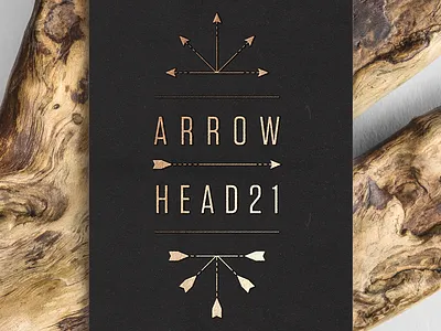 Project Arrowhead graphic design logo t shirts