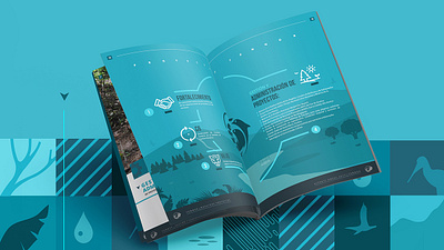 FONNOR annual annual report brand brand identity branding diseño grafico editorial visual design