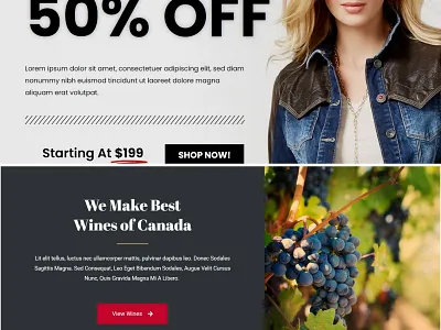 Ecommerce demo image-1 ananda chowdhury conversion tracking dropshipping store ecommerce store ecommerce tracking ecommerce website facebook ads facebook api google ads landing page shopify shopify dropshipping shopify store shopify website web developer webdesign wix wix website wordpress website