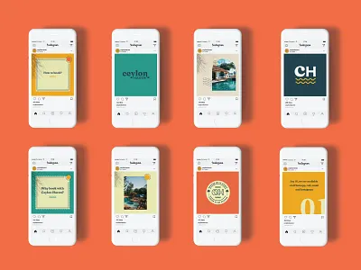 Social Media Design branding design graphic design instagram logo social media typography