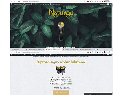 Landing Page - Naturgo (Orderpedia.id) branding design icon typography ui ux