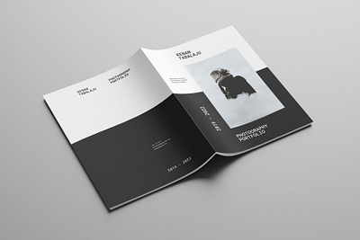 Photography Portfolio Template branding brochure design indesign layout design photography template