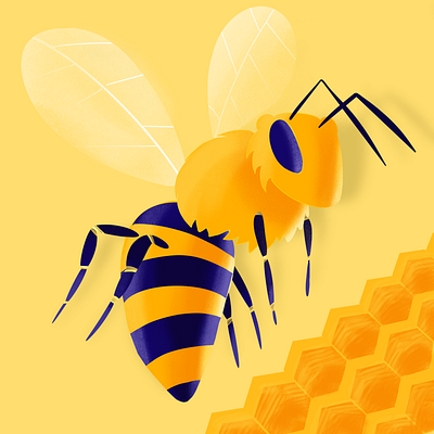 bee bee illustration procreate