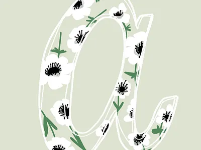 A is for Anemone adobe illustrator branding design designer floral graphic design illustration illustrator letter a letterring procreate type typography