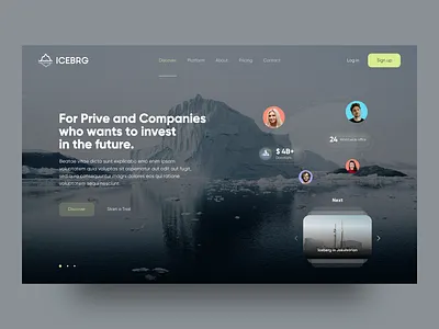 ICEBRG - UI Platform agency application creative design minimal pay platform simple ui ux web design webapp