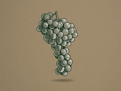 Grapes | Illustration church church design engraving etching fruit fruit illustration grapes illustration illustrator logo designer vintage illustration vintage logo