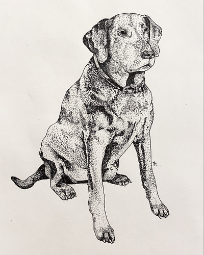 Dixie Mae animal dog drawing illustration ink ink and paper pet pointillism