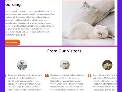 Landing page design-19 website design ananda chowdhury conversion api conversion tracking dropshipping dropshipping store ecommerce website facebook ads google ads landing page design shopfy website web design web developer website design wix website wordpress