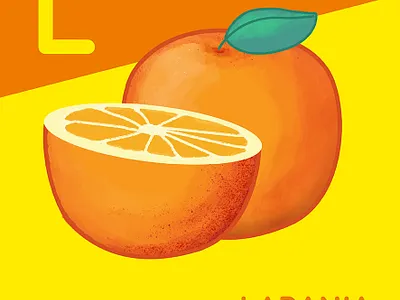 Orange fruit illustration laranja orange photoshop