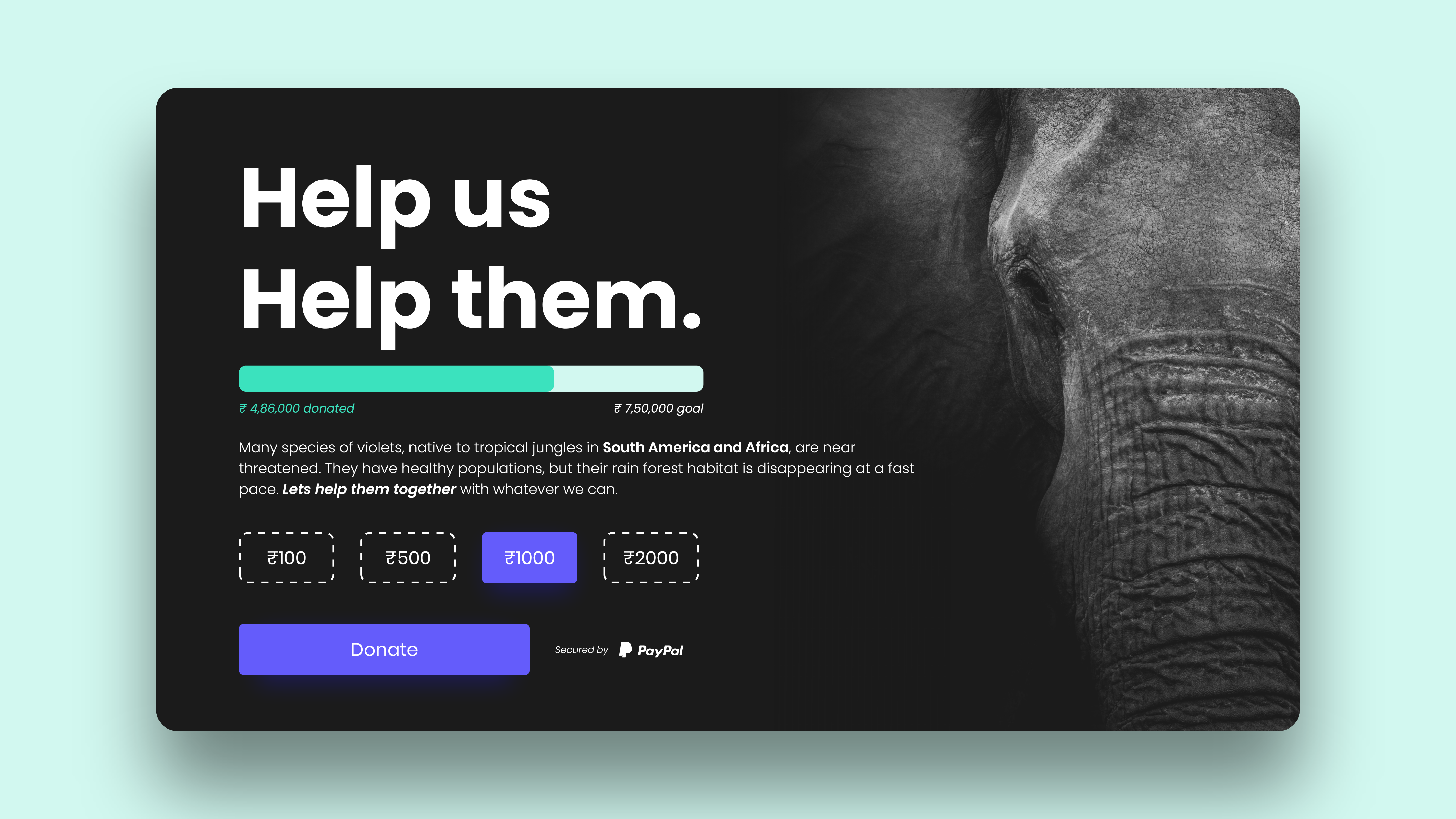 Donation Page dailyui design illustration minimal