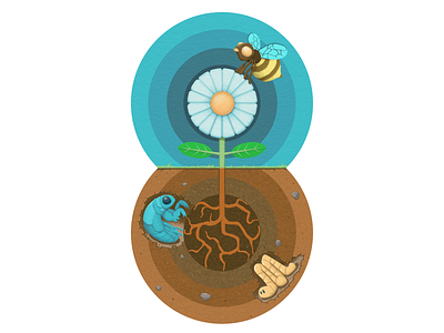 Flower biology editorial flower illustration