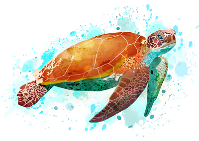 Animal Illustration - Sea Turtle animal illustration art graphic design illustrated portrait illustration paint art