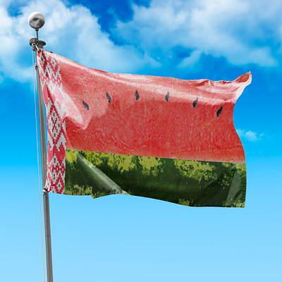 NEW BELARUSIAN FLAG 3d adobe animation art belarus branding design graphic design illustration logo nature photo photoshop politics protest russia ui vector