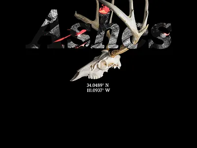 Ashes antlers arizona ashes collage death desert mixed media streetwear technical