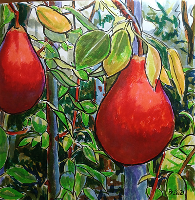 Ripe Red Pears hand drawn illustration ink pens pears sketch