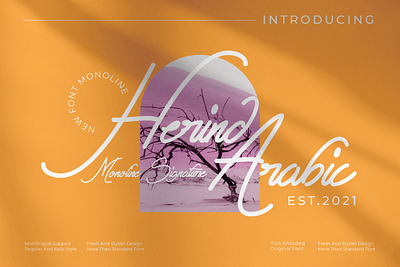 Herind Arabic - Monoline Signature style font monoline