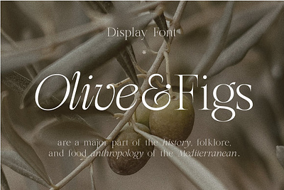 Olive & Figs - Regal Classic Serif branding design font font family icon illustration logo photos typography