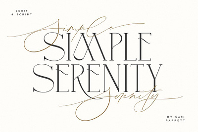 Simple Serenity Serif & Script branding design font font bundle icon illustration logo photos typography