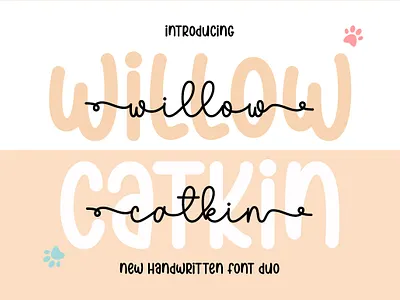 Willow Catkin Duo crafting font cute font design handwritten monoline new font script script font