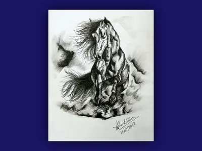 Black Beauty animal art beautiful black dark drawing elegant hand hand drawn horse illustration inspiration majestic pencil poster powerful realistic sketch traditional white