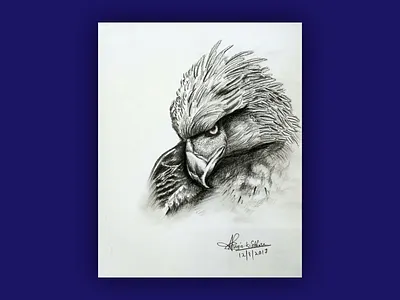 Eagle eye animal art bird black dark drawing eagle elegant falcon hand hand drawn illustration inspiration majestic pencil powerful simple sketch traditional white